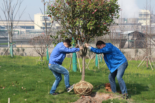 1583206861454176.png 5.png